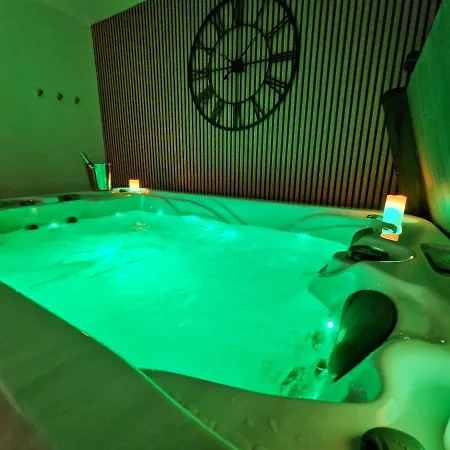 Zen Spa-4 Pers-jacuzzi-parking-clim-colmar Appartement *