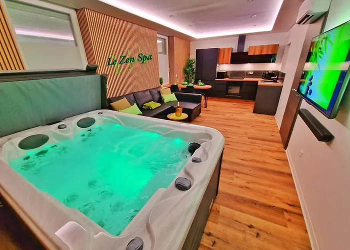 Zen Spa-4 Pers-jacuzzi-parking-clim-colmar Lejlighed *